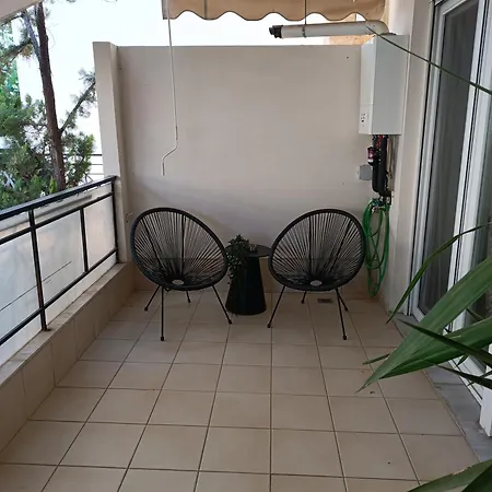 Pilea Luxury 8 *