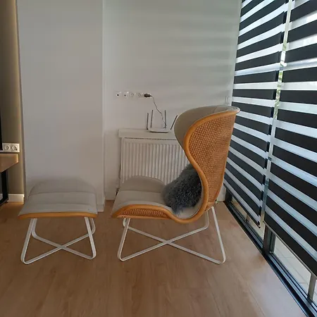 Pilea Luxury 8